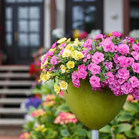 Gaestehaus Hoferichter, Whg 2 Apartament Grossenaspe